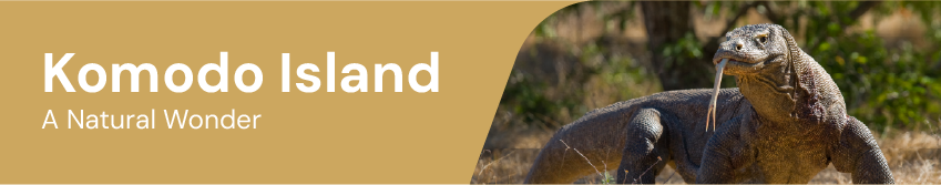 Komodo Island Destinations