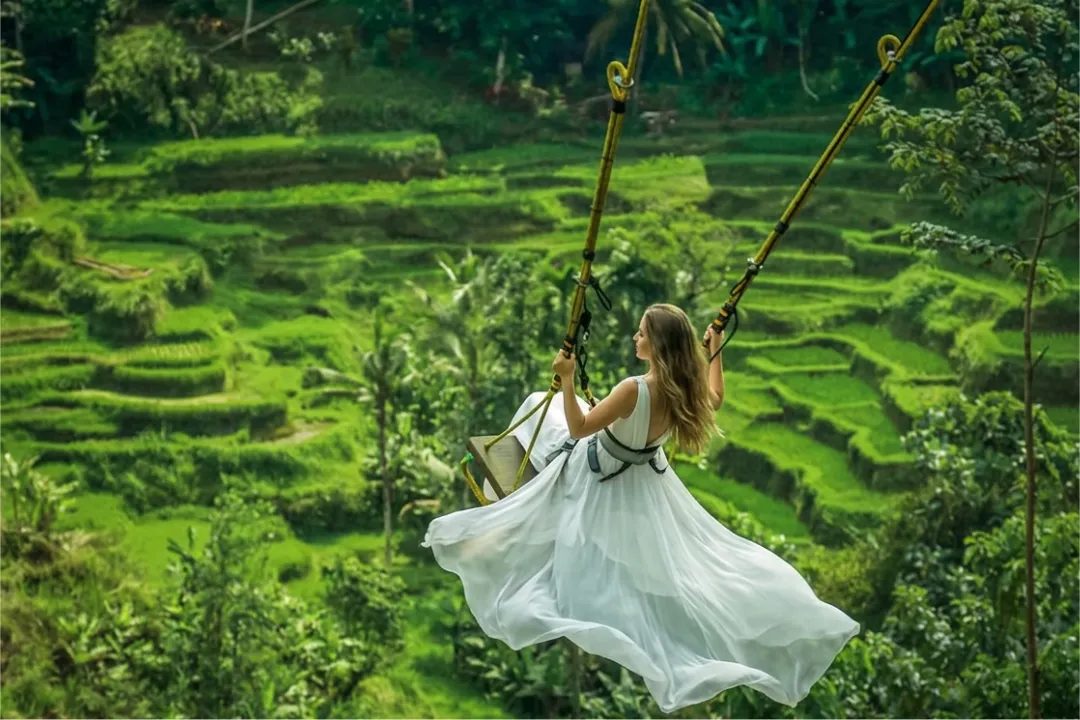 kintamani ubud swing