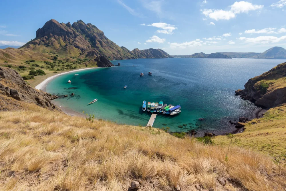 Komodo tour