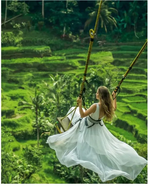 ubud swing